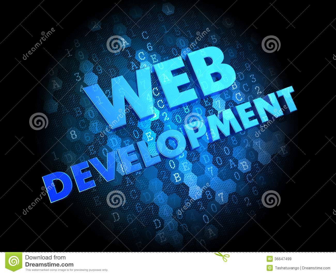 Web Development